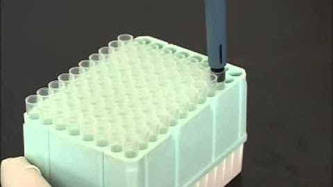 DRAGONLAB TopPette Pipette Fitting tips