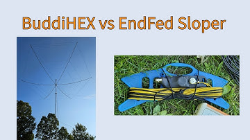 BuddiHEX vs 49:1 endfed as a sloper