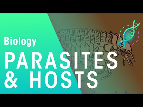 Parasites And Hosts | Ecology & Environment | Biology | FuseSchool