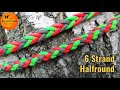 6 Strand Halfround ~ Paracord Leine || Bunter Pudel Paracord&Co.