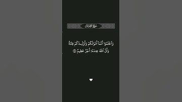 سورة الأنفال الآية 28