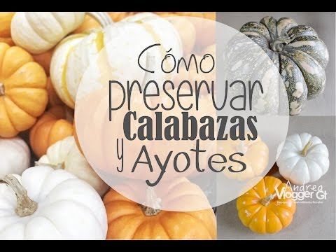 Video: Adornos de calabazas pintadas: cómo secar y decorar calabazas