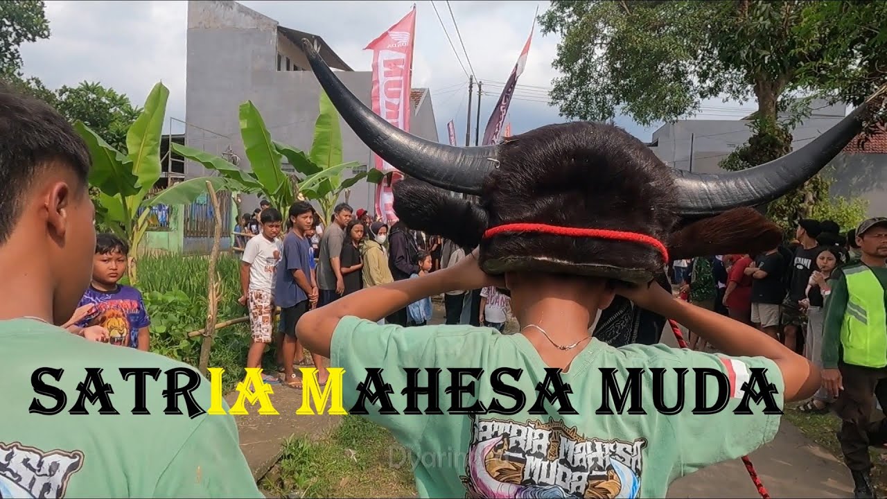 Mbrot bareng Bantengan Satria Mahesa Muda full kalapan