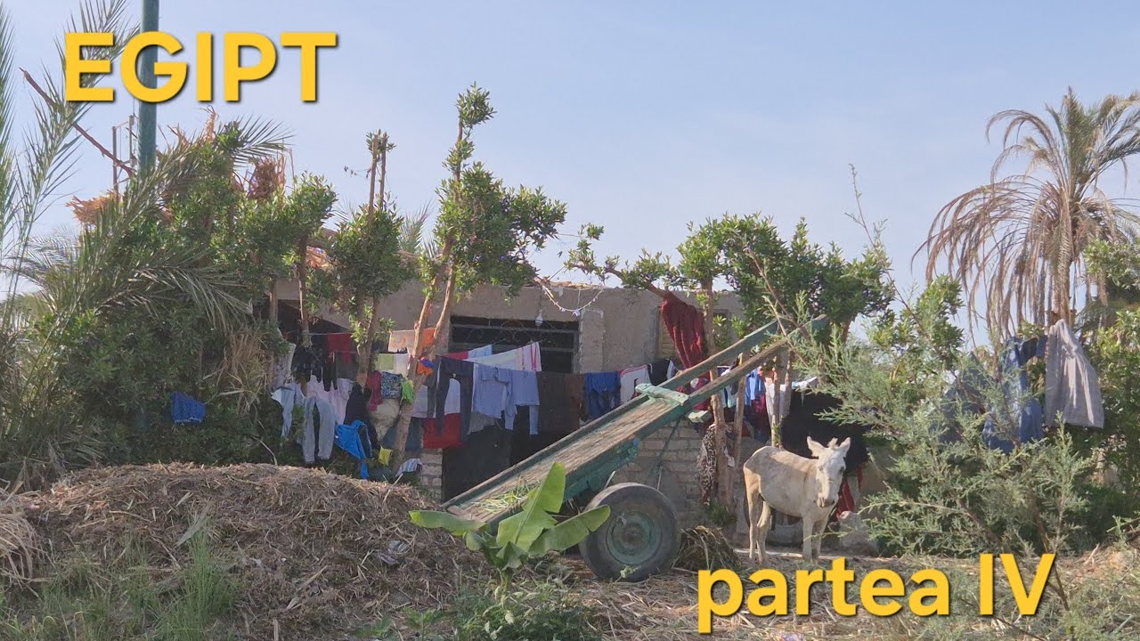 EGIPT | Cât costă benzina? Traficul și viața la țară | partea IV
