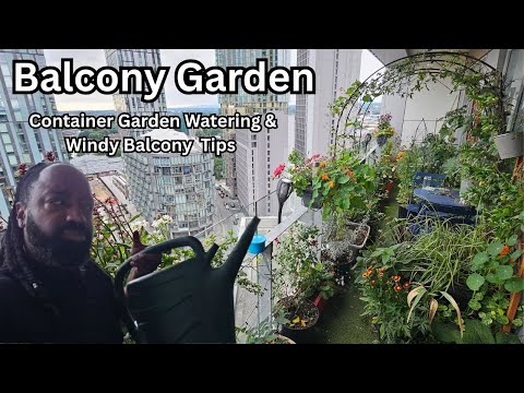 Container Garden Watering & Windy Balcony Garden Tips