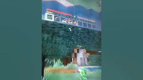 Hunter and Davyn play Minecraft.