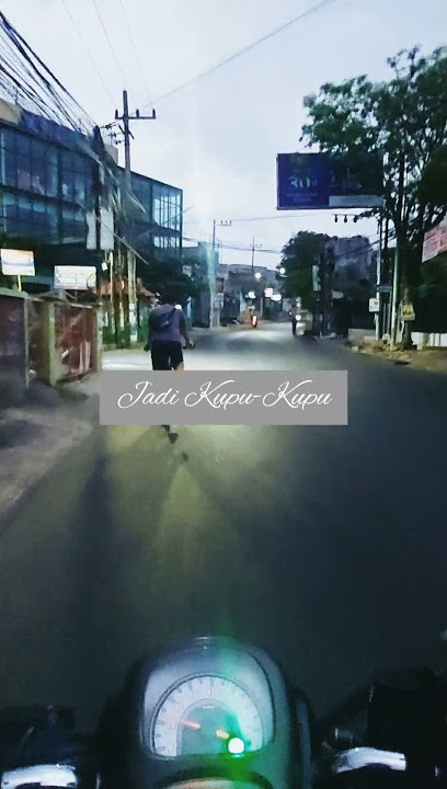 Story WA Kupu-Kupu Baja