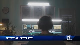 New California laws focusing on consumer protection in 2025