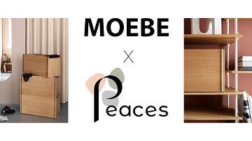 Das shelving system von MOEBE