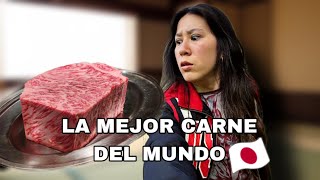 I tried the BEST food in Japan 🇯🇵 Vlog in Osaka, Nara and my Japanese family