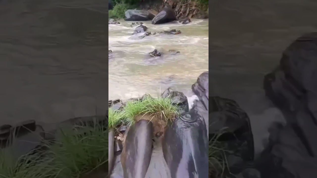 om ನಮಃ ಶಿವಾಯ 