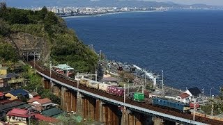 【原色】 東海道線 3075レ EF64-1016 早川~根府川