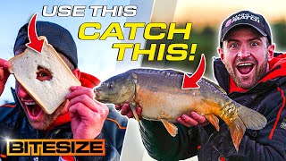 Bomb Fishing For Carp... WITH BREAD!