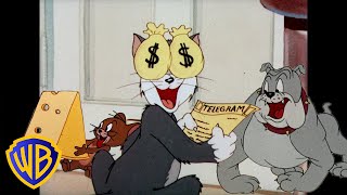 Tom & Jerry em Português | Brasil | A Sorte Está no Ar! 🍀 | St. Patrick's Day | @WBKidsBrasil​