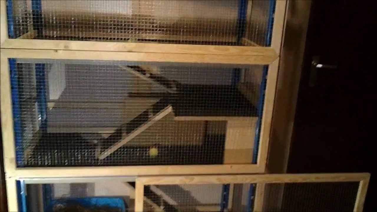 A 4 floor indoor rabbit condo - YouTube