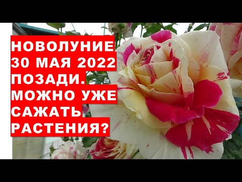 Video: Багбандардын колдоочусу ким?