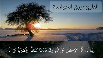 تلاوة من سورة ابراهيم || القارئ : رزق الحوامدة