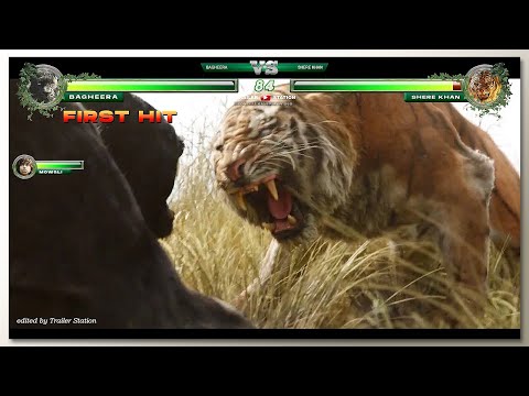 Bagheera vs Shere Khan with Healthbars