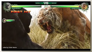 Bagheera vs Shere Khan with Healthbars Resimi