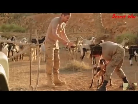 best-war-movies-hindi-dubbed-movies-best-action-hollywood-movie-youtube