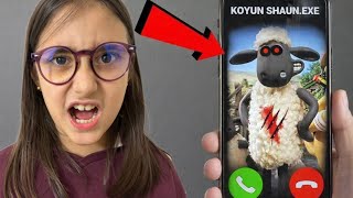 Eli̇f Asel Koyun Shaun Exe Ariyor Eve Gelmi̇ş Ne Yapacağiz