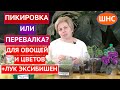 ПИКИРОВКА ИЛИ ПЕРЕВАЛКА? ЧТО ВЫБРАТЬ, КАК ПРОВОДИТЬ И ЗАЧЕМ ОНИ НУЖНЫЙ!