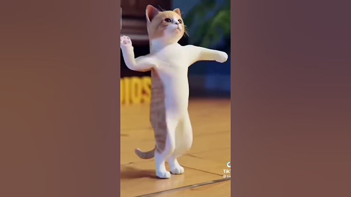 நான் கேட்டது  ஆனா அவர் எனக்கு கொடுத்தது #cat 😂👍