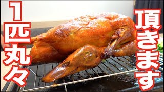 顔ついてるやん...鳥を丸々１匹食す！