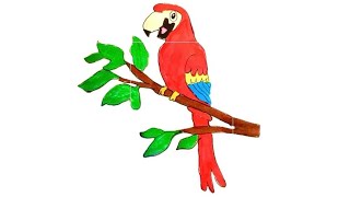 Papagei zeichnen für Anfänger