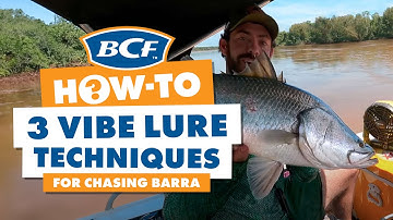 Barramundi Vibe Fishing - Retrieval Techniques