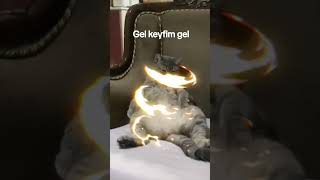 Varmı Ulan Bana Yan Bakan Varmı? Resimi