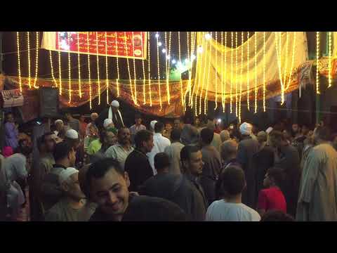 الشيخ محمد غازى مولد سيدى محمد بن ابو بكر ومددد يا ابو منصور