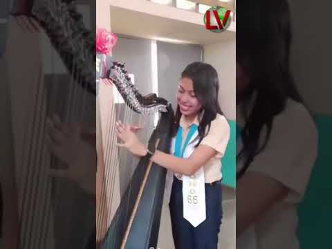 Regalo sin igual Regalo sin igual
