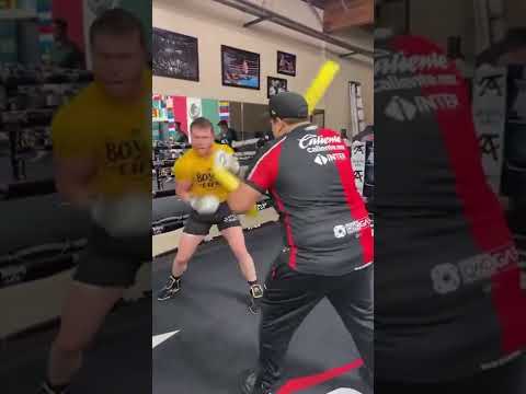 Canelo Pool Noodle