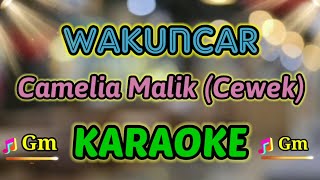Wakuncar Karaoke v2 Hq  Stereo  Camelia Malik