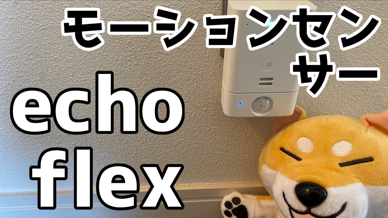 Amazon Echo Flex」用のモーションセンサーをセットアップと