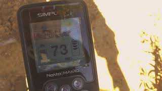 8th Vanquish vs Nokta Simplex Salt Sand Target ID Stability