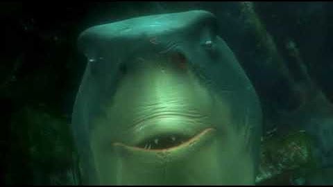 Bruce se transforma (Buscando a Nemo) 🤬🤬