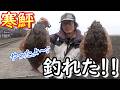 寒鮃！釣れたっ！！