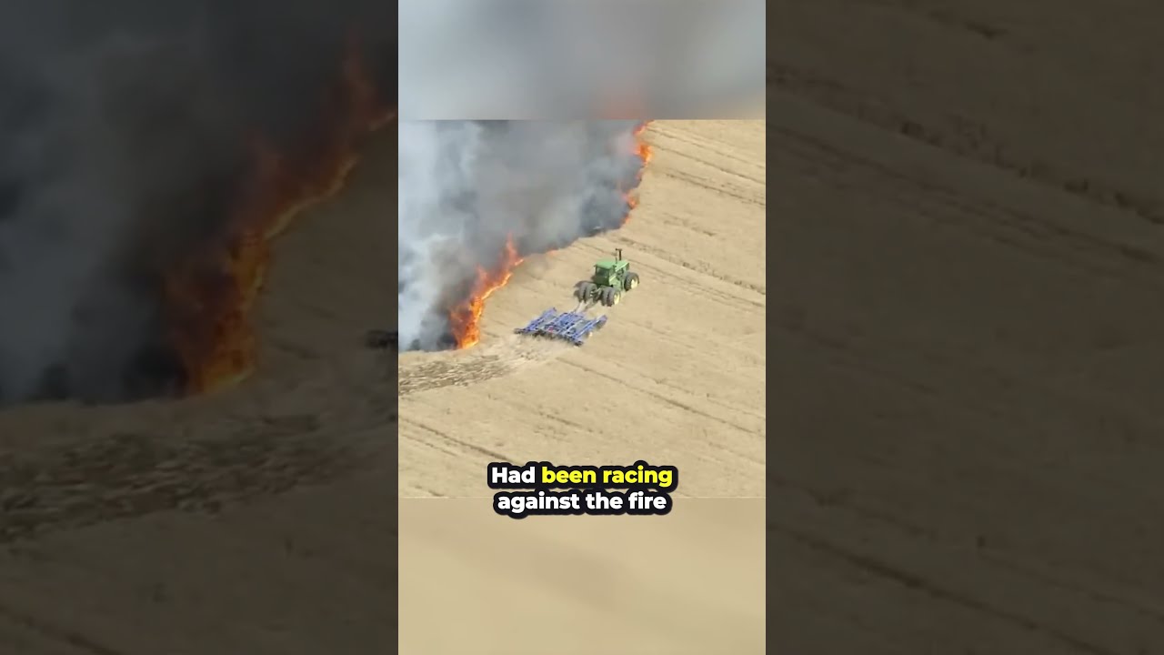 He Risked It All To Save His Field Shorts