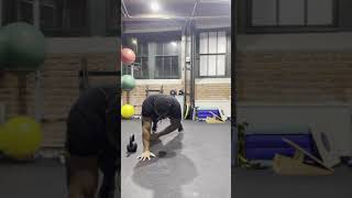 plank KB pull Throughs