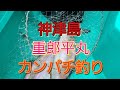 カンパチ　重郎平丸　神津島　ムロアジ泳がせ釣り の動画、YouTube動画。