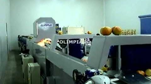 Γραμμή ταξινόμησης τομάτας.Grading,Sizing machines processing classification lines for tomatoes.