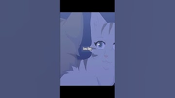 Lost Boy || Silverstream and Graystripe edit || #warriorcats #editsong
