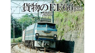 貨物のEF66(2000)SD