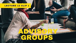Lecture 12 Clip 1 -  Role of an advisory group