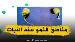 الدرس 3 مناطق النمو عند النبات علوم طبيعية للاولى ثانوي علوم و تكنولوجيا