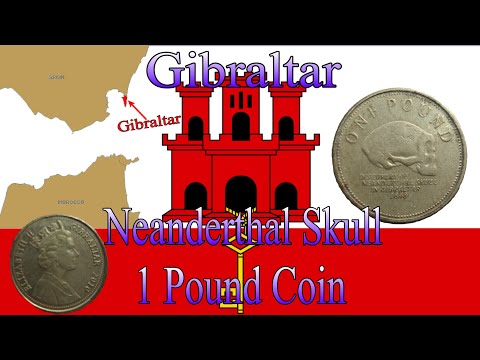 Gibraltar 1 Pound Coin Neanderthal Skull | Coin Collecting #14