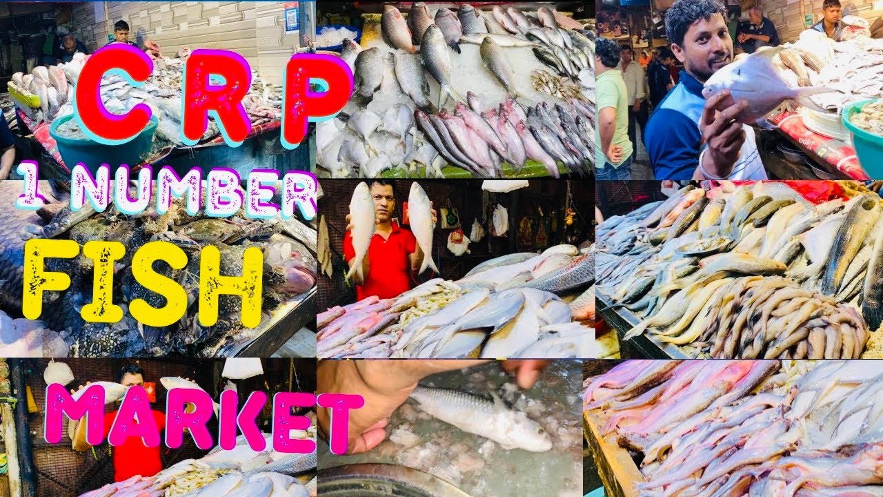 C R PARK FISH MARKET 1 Number C R Park Fish Market New DelhiBengali