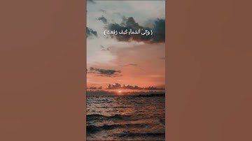 أفلا ينظرون إلى الإبل كيف خلقت |قرآن كريم 🌹💚 هدوء وراحة
